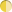 giallo bicolore
