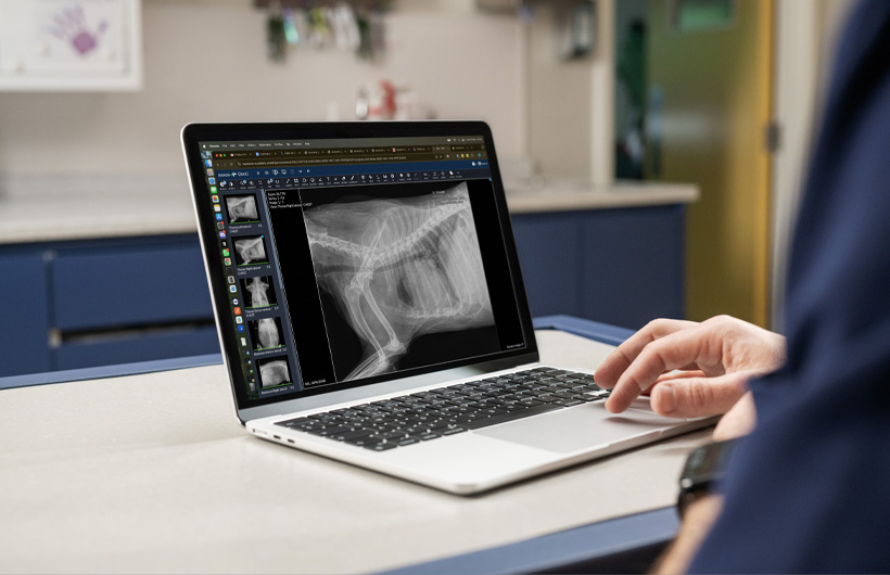 Detailed X-rays and ultrasound scans are displayed live on MacBook Air.